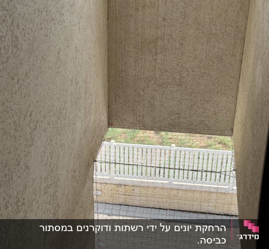 רשת למניעת כניסת יונים בין קירות בניין